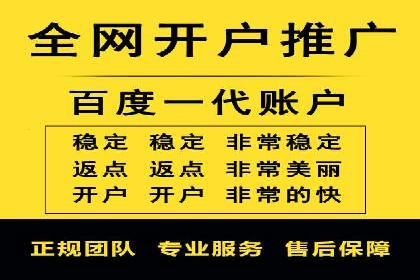 某品牌SEM推广代运营的实践与效果评估