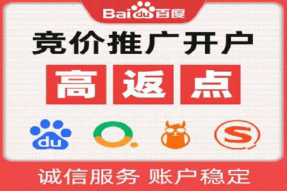 SEM推广优化策略：成功案例解析